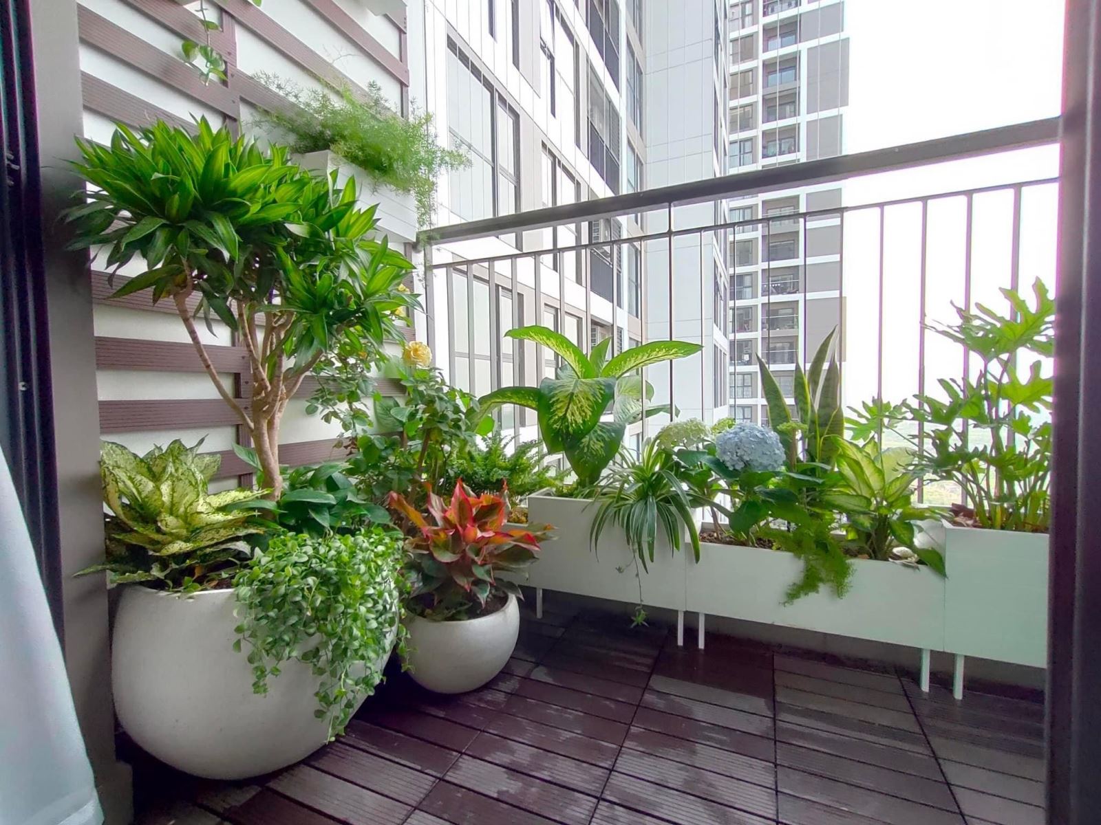 Gợi ý 3 cách setup cây xanh ban công nhỏ